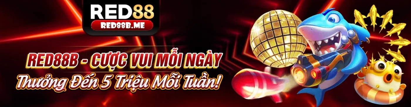 Hoàn trả hàng ngày đá gà 555win24