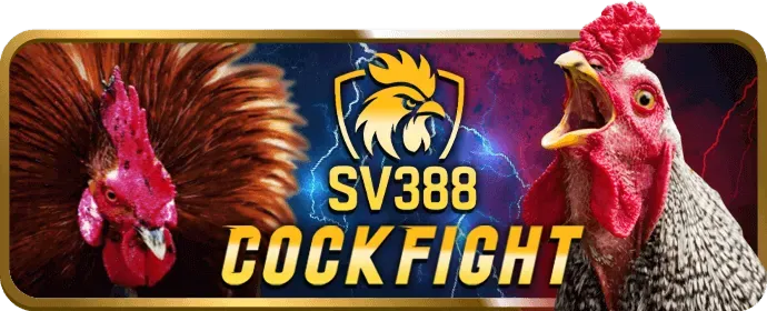 Thưởng nạp lại hàng ngày tại 555win24